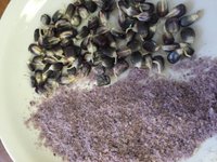 Organic Sprouted Blue Corn